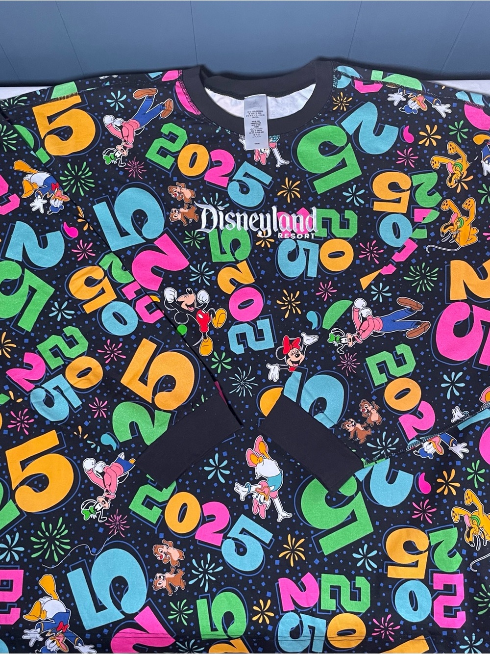 Brand New Disneyland 2025 Theme Jersey Adult 4X Sweatshirt Spirit Jersey